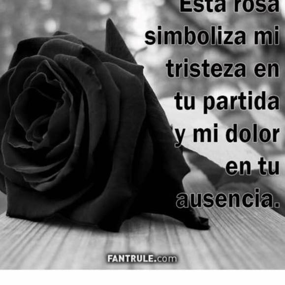 Meet your Posher, Vanessa - Picture 1 of 1